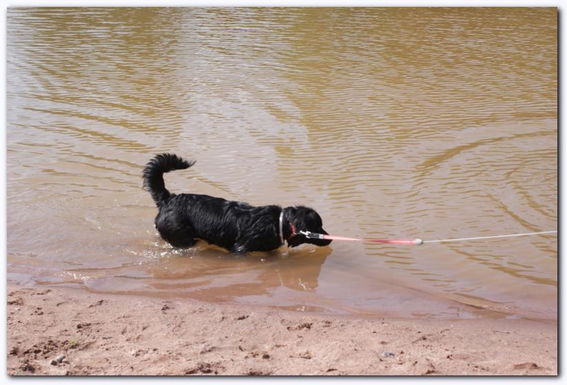 802x537 pixels (73K)